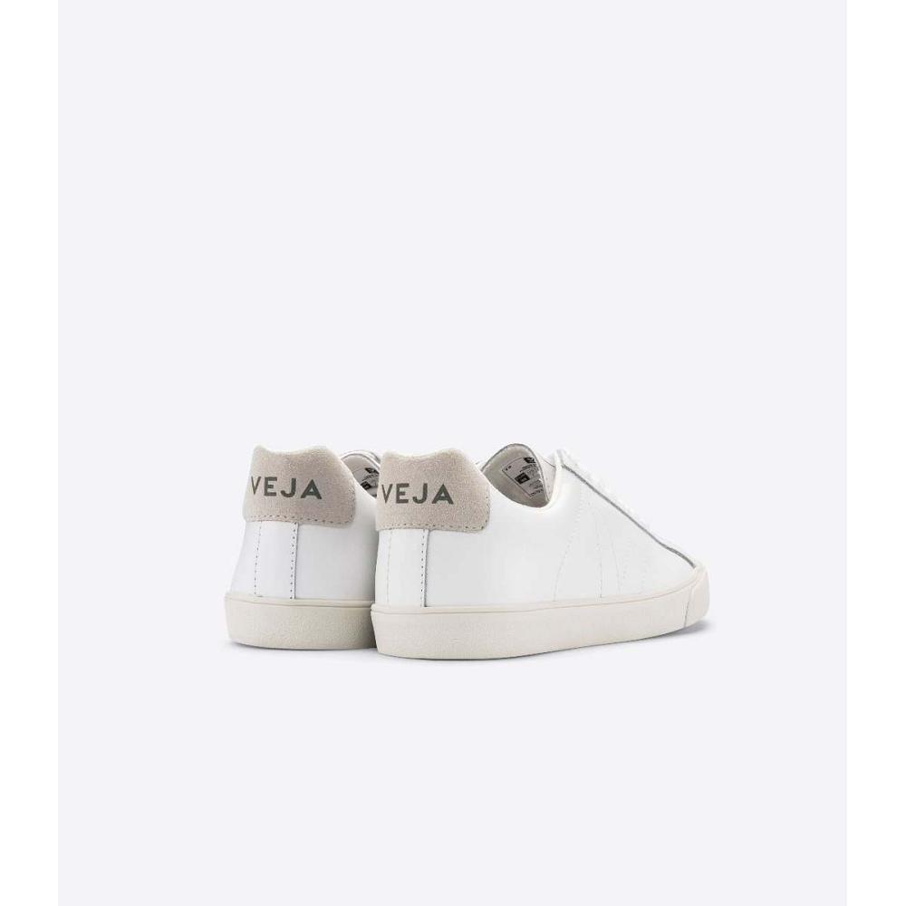 Veja ESPLAR LEATHER Women's Sneakers White/Beige | NZ 621HAP